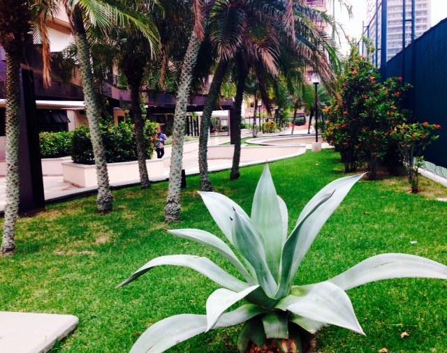 Delicioso Com Linda Vista Appartement *